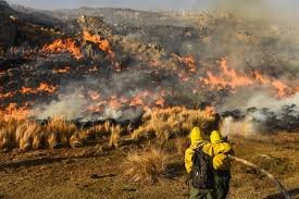 Índice de incendios: la provincia sigue en una situación extrema