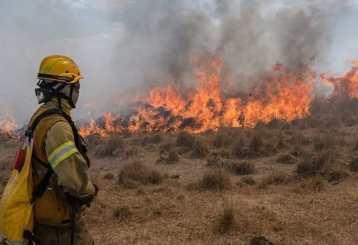 línea de crédito para productores afectados por incendios