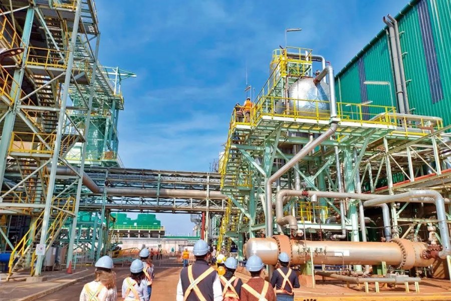 Activarán en Virasoro la segunda planta eléctrica por biomasa